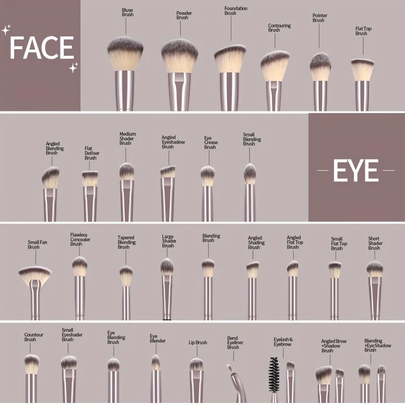 A comprehensive collection of makeup brushes categorized by face and eye application, neatly arranged against a neutral backdrop.